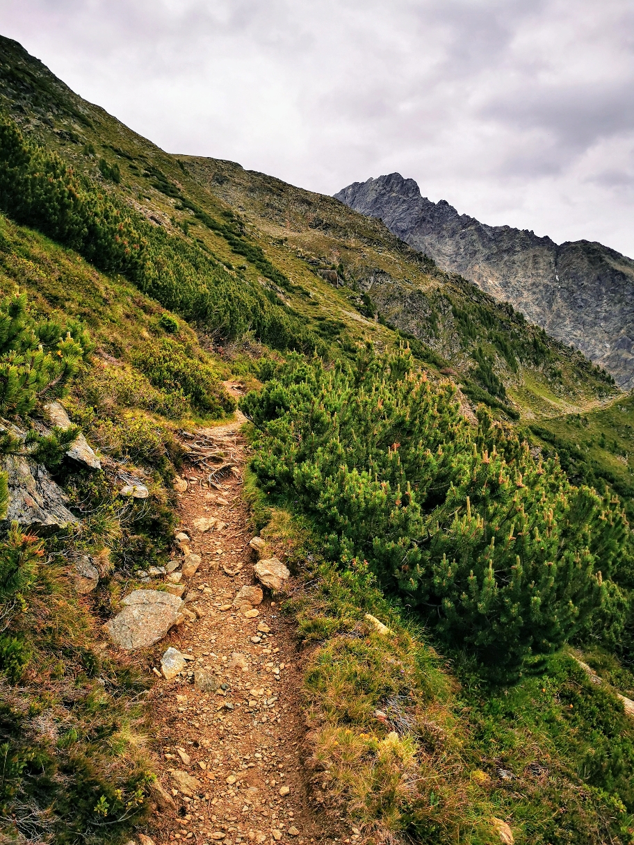 Der Weg zieht weiter am Hang entlang