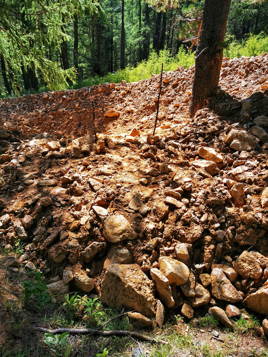 Im Wald quere ich die letzten Ausläufer der Lawine