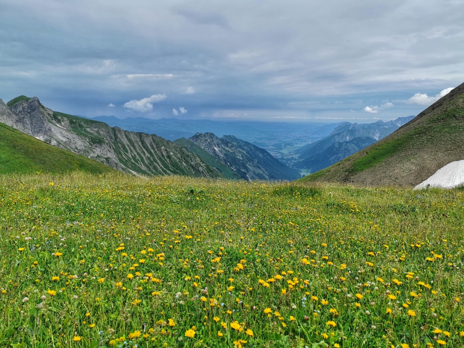 Blühende Wiesen, im Hintergrund Oberstdorf