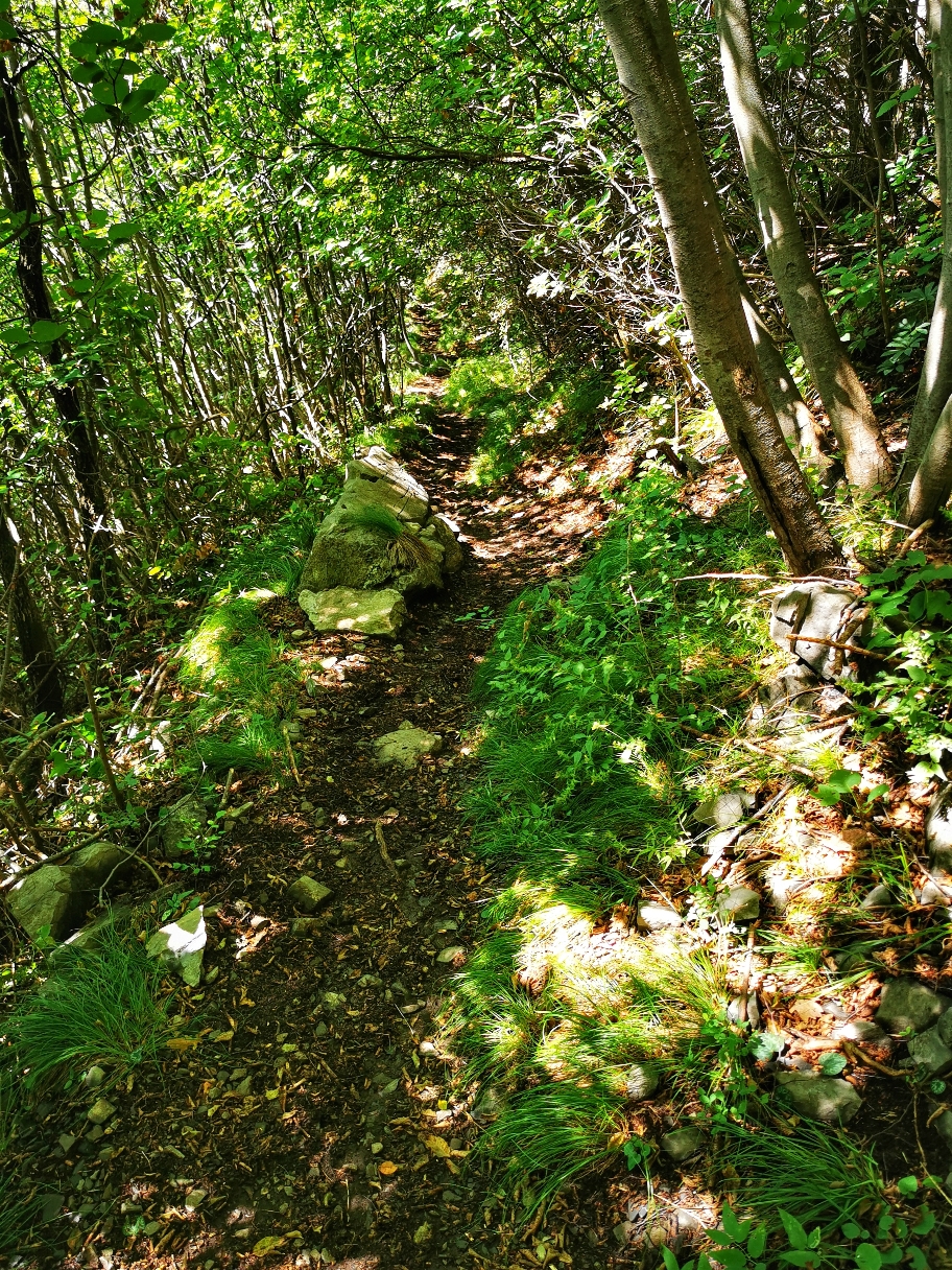 Im unteren Teil geht's zwischenzeitlich wieder durch den Wald