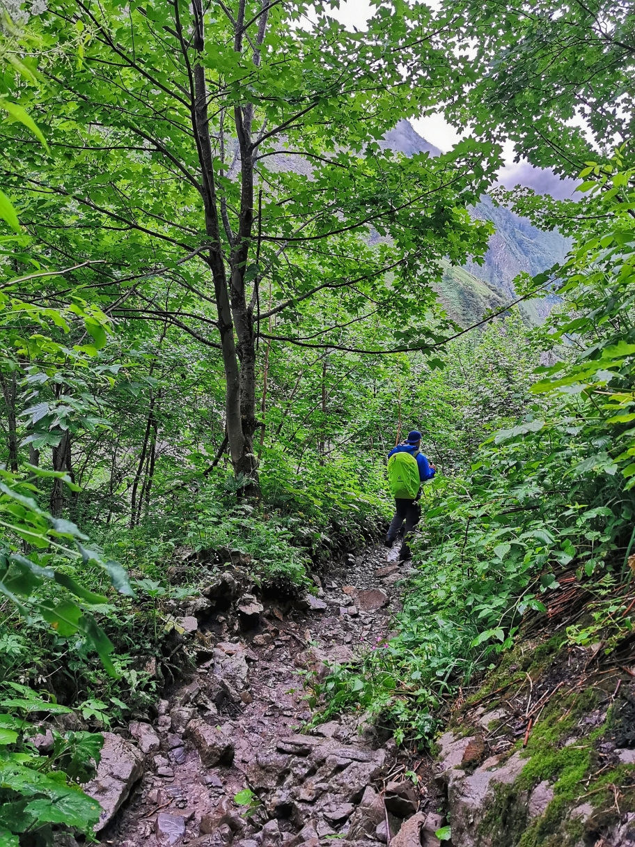 Mittlerweile haben wir die Waldgrenze erreicht