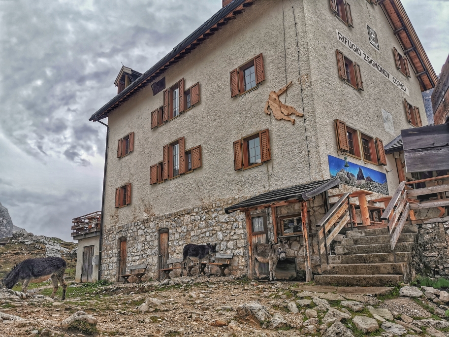 Esel an der Szigmondyhütte
