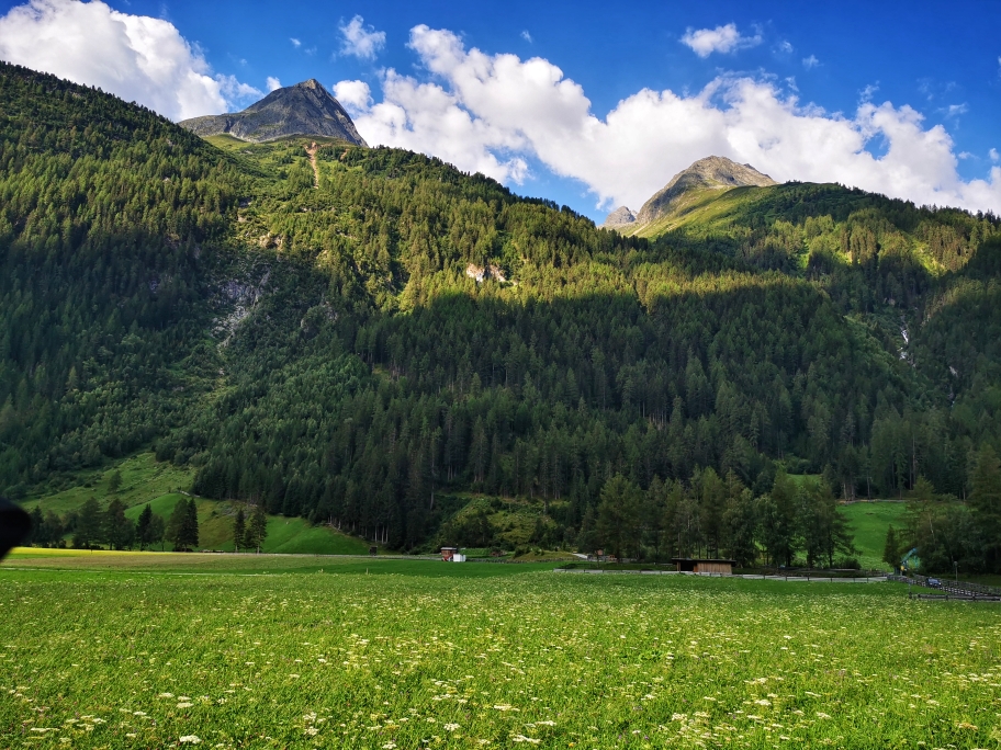 Über Wiesen geht's bis zum Waldrand