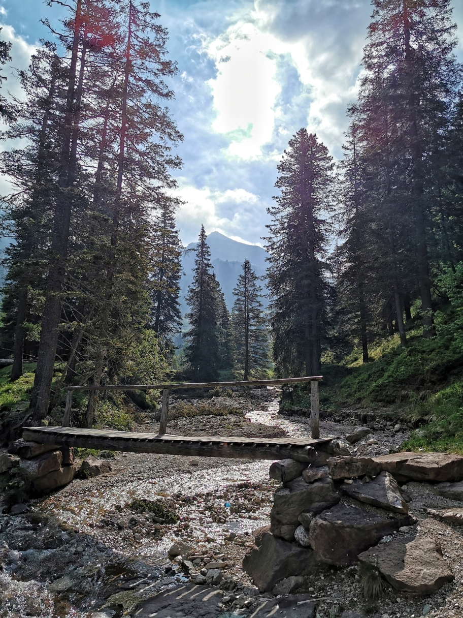 Auf dem Weg zur Kaserillenalm, in der Mitte bereits der Gipfel des Zendleser Kofel