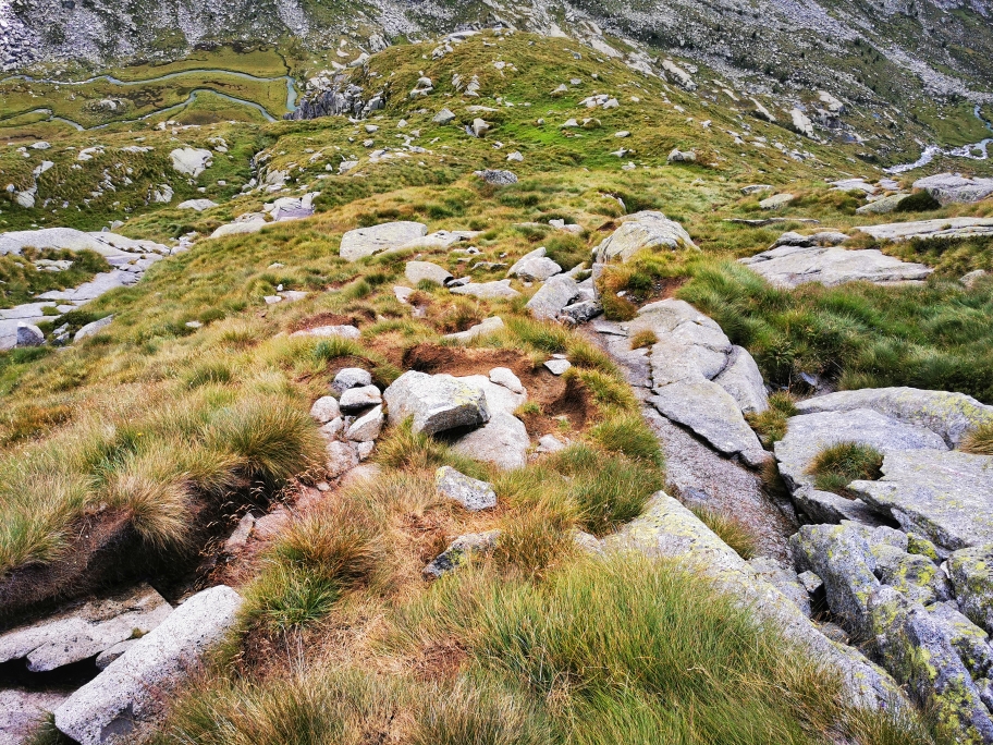 ... bis schließlich Wiesengelände mich der Hütte näher bringt