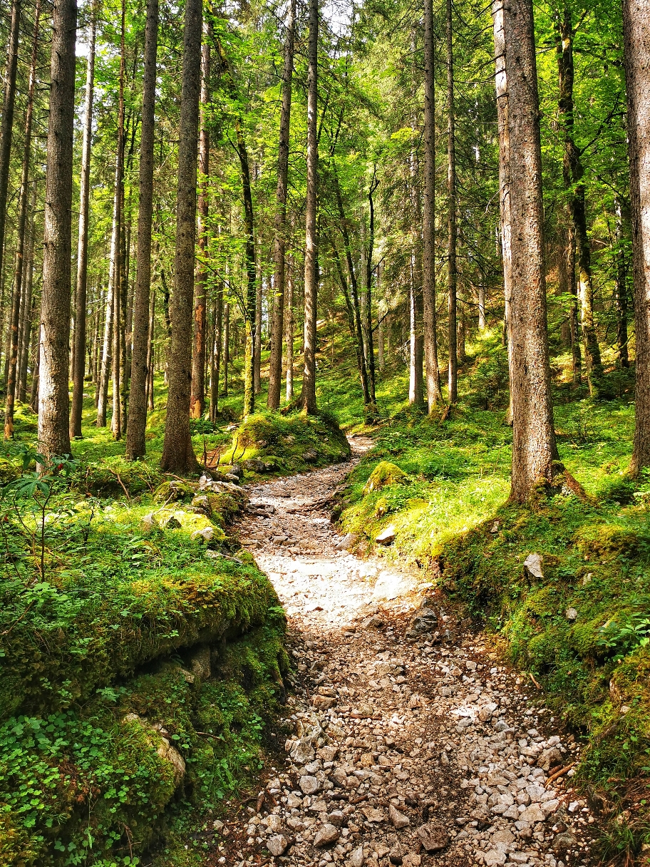 Auf schönen Waldwegen geht's immer tiefer hinein ins Tal