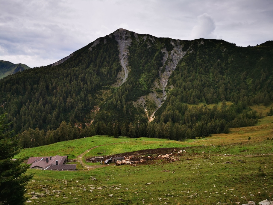 Die Malga Sanguinera auf 1.900m