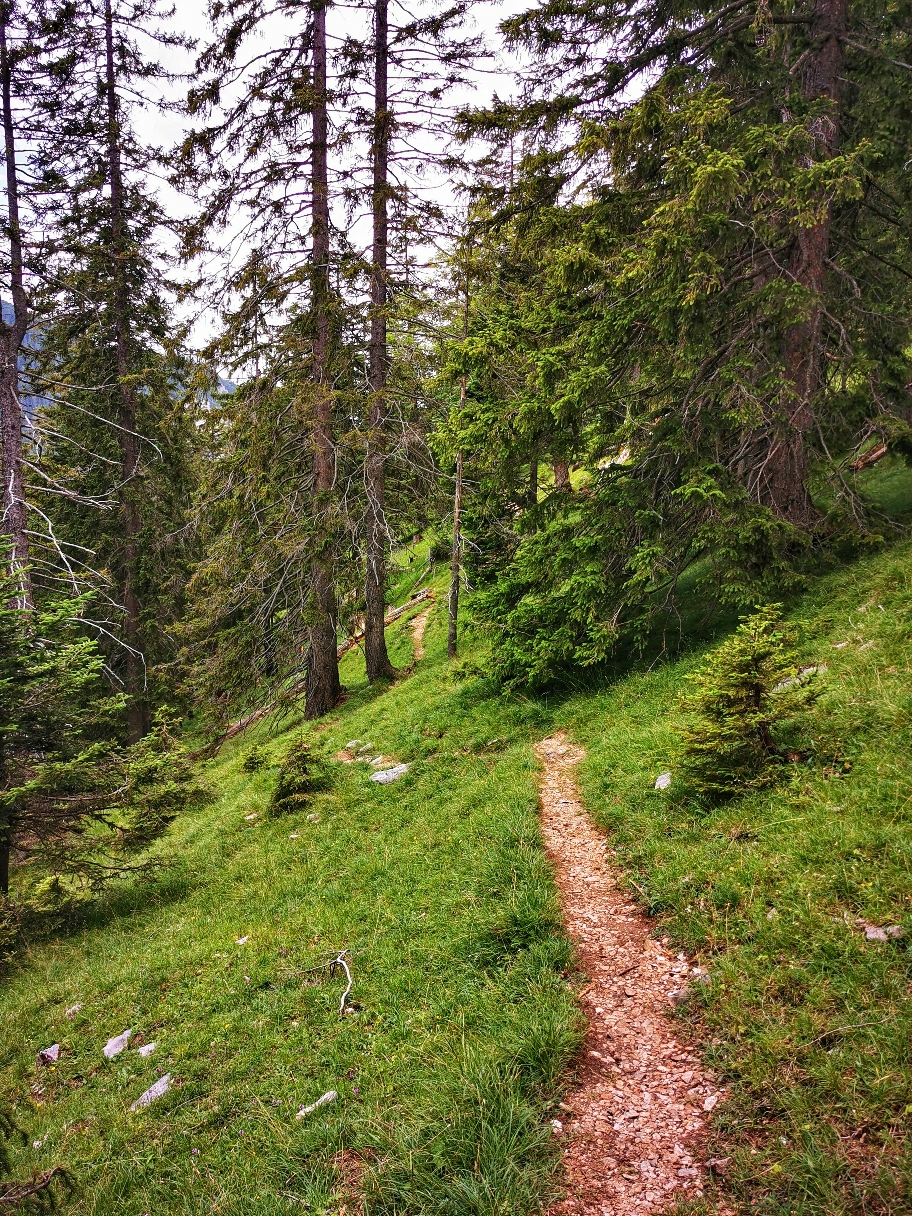 Auf bequemen Wegen geht's hinab