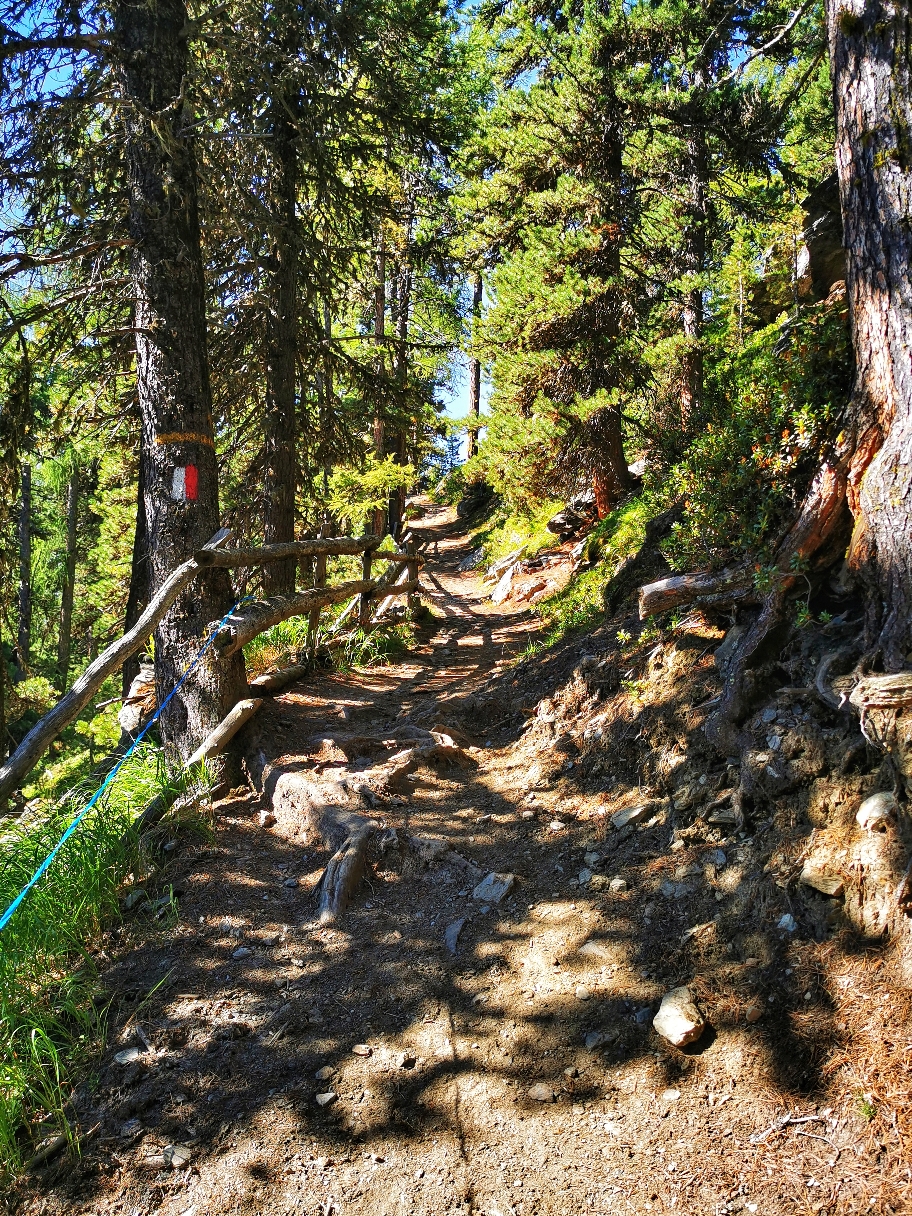 Zunächst geht's weiter im Wald...