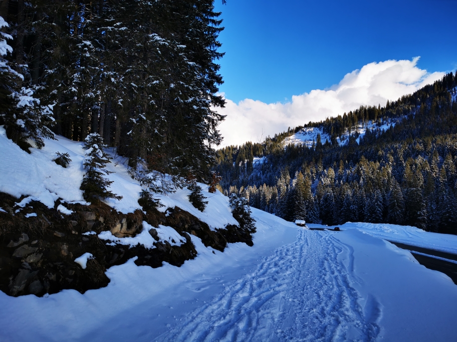An der Schwarzwassertalstraße Richtung Riezlern