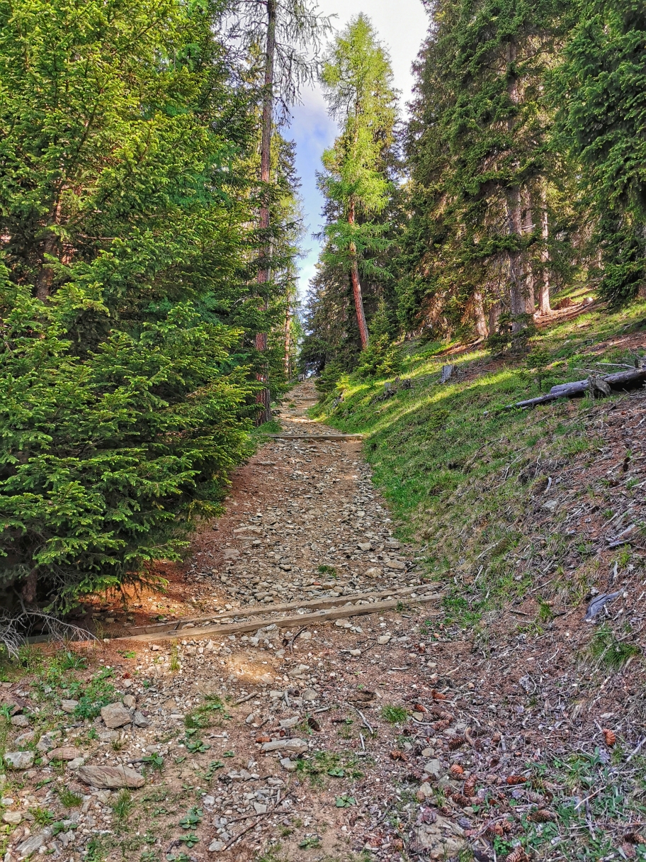Der Weg führt teilweise steil durch den Wald
