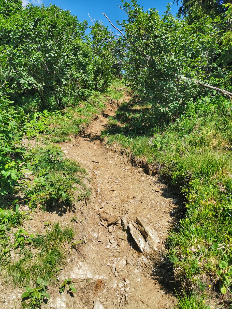 Der Pfad wird schmaler und steiler
