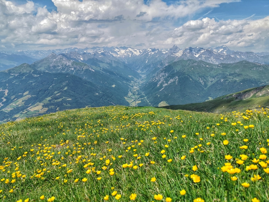 Tolle Aussicht am Bairnock ins Pflerschtal...