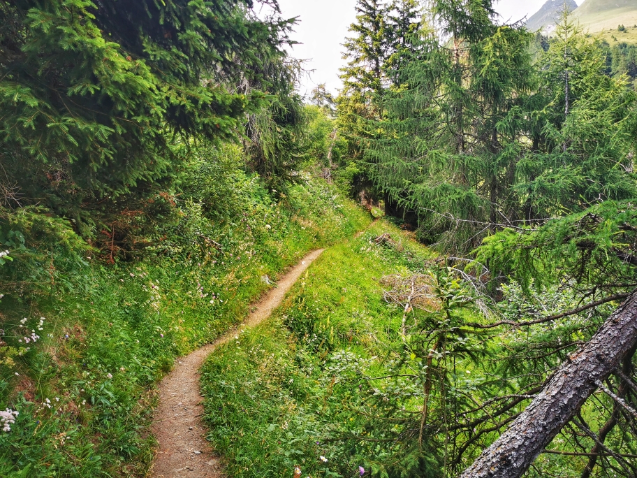 Schöne Wanderung auf dem Weg zur Nilljochhütte
