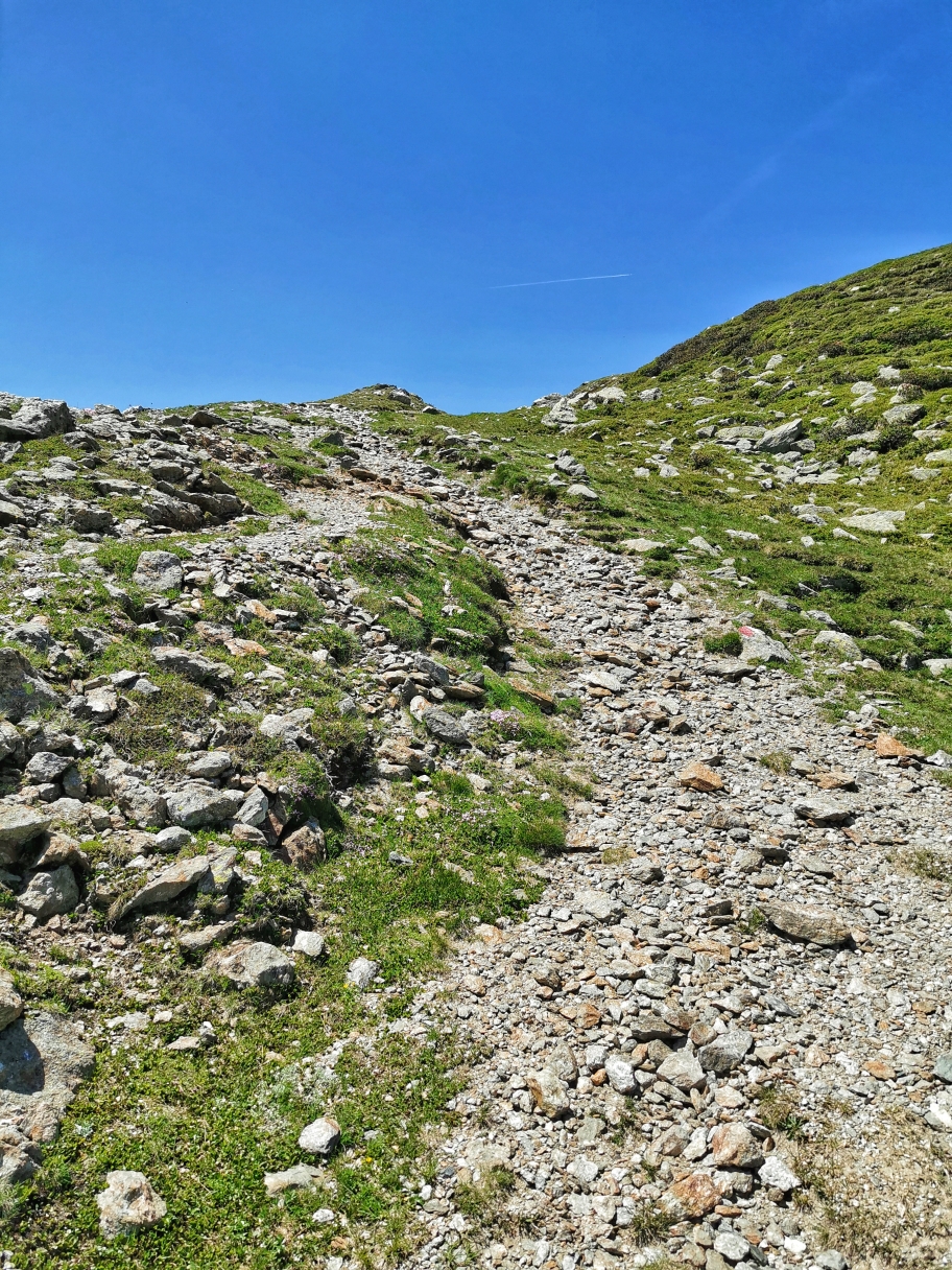 Auf Schotter geht's hinauf auf den Gänsekragen