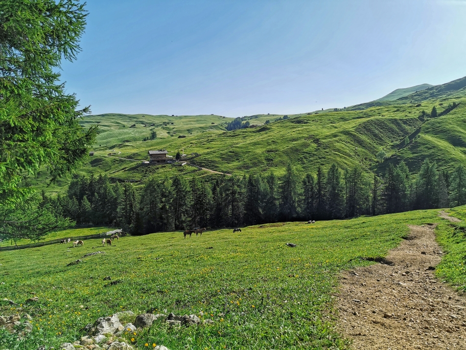 Ein Blick zurück auf die grünen Wiesen, die wir gleich gegen Felsen und Geröll eintauschen