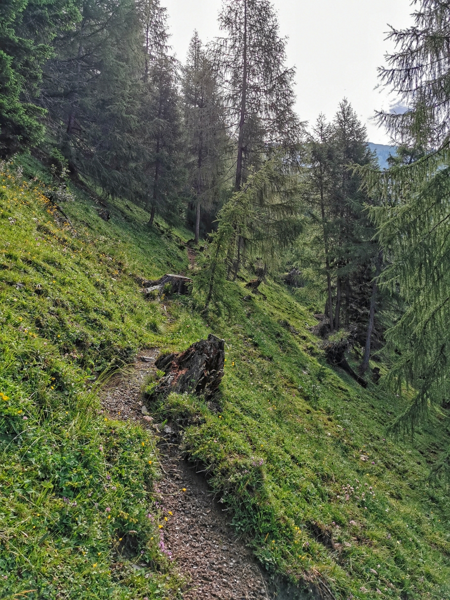 Auf schmalen Pfaden geht's voran