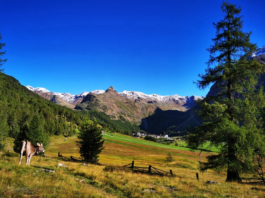 Traumhafte Panorama im Schnalstal
