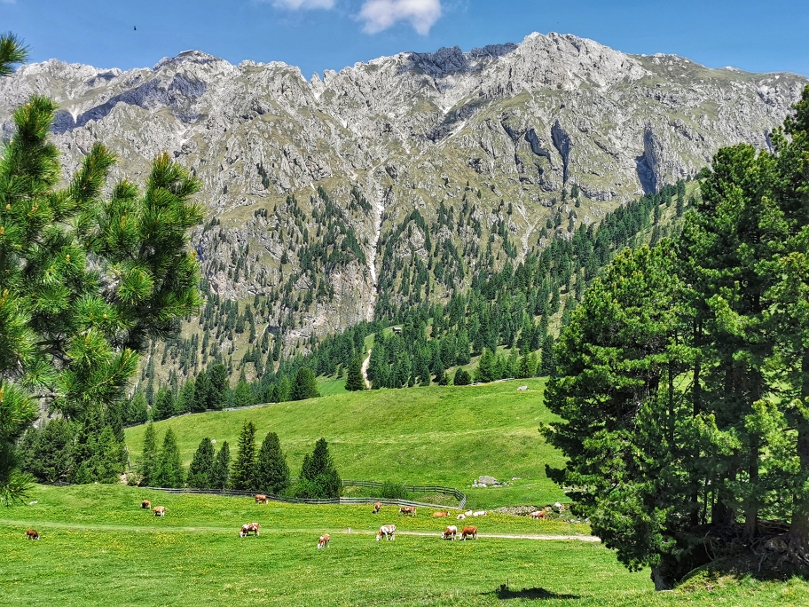 Alpenidylle beim Abstieg von der Schlüterhütte