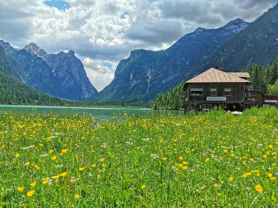 Blühende Wiesen am Nordufer des Sees