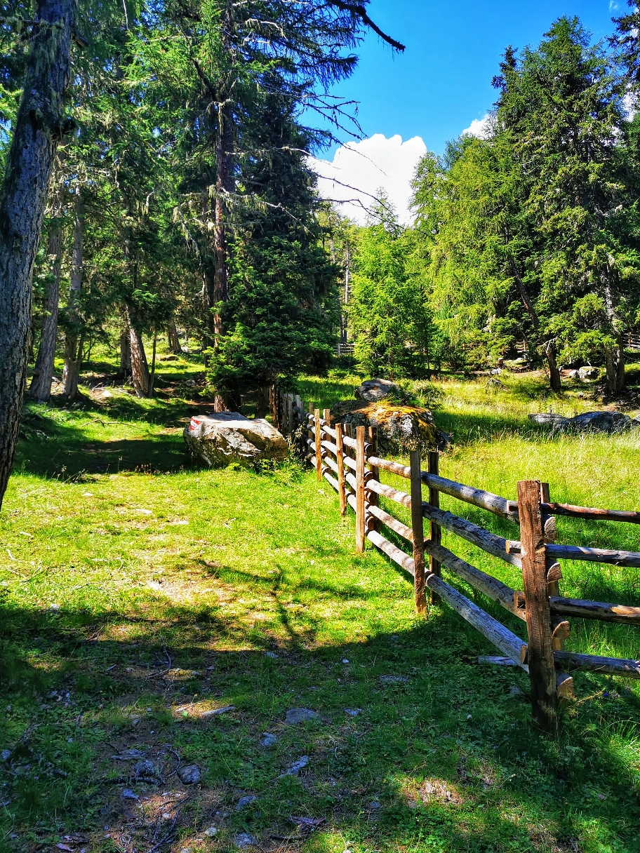 An der Bärenplattmahd