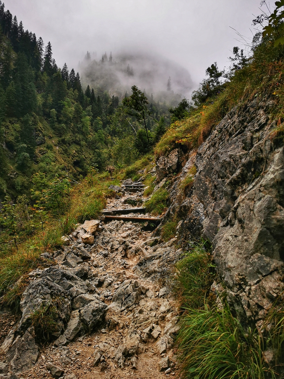 Kleiner Steig auf dem Weg zur Höllentalangerhütte