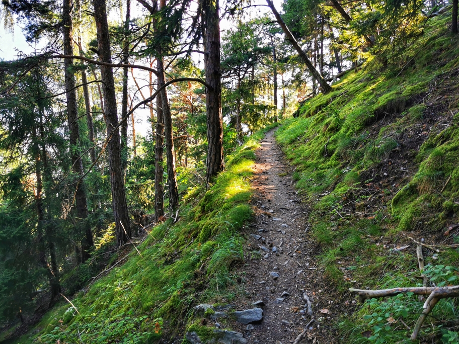 ... teilweise auf schmalen Waldwegen geht es bergan