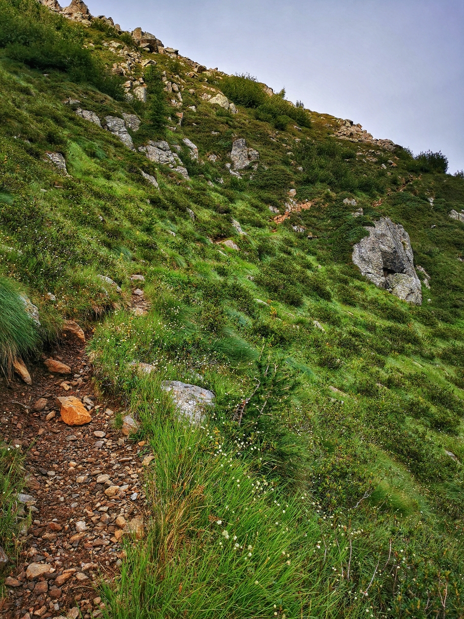 ... ist der Weg gut zu gehen