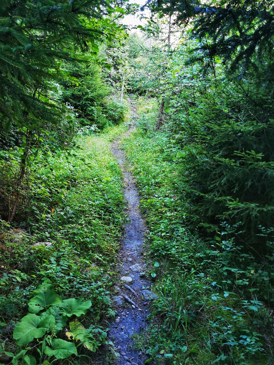Der Weg ist jetzt wieder gut zu gehen