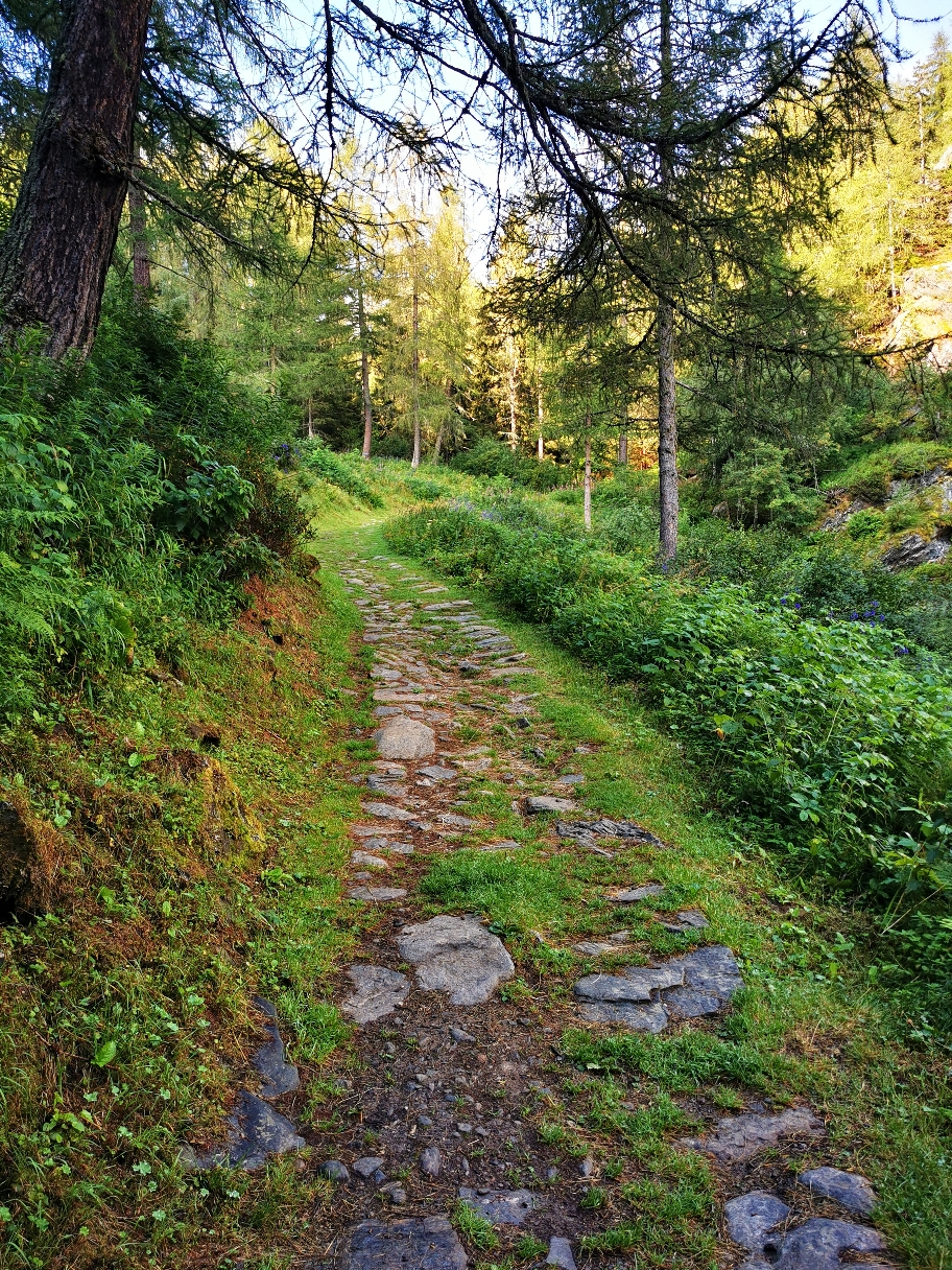Ganz gemütlich geht's durch den Wald hinauf