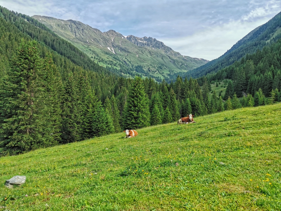 Schöne Wiesen oberhalb von St. Magdalena