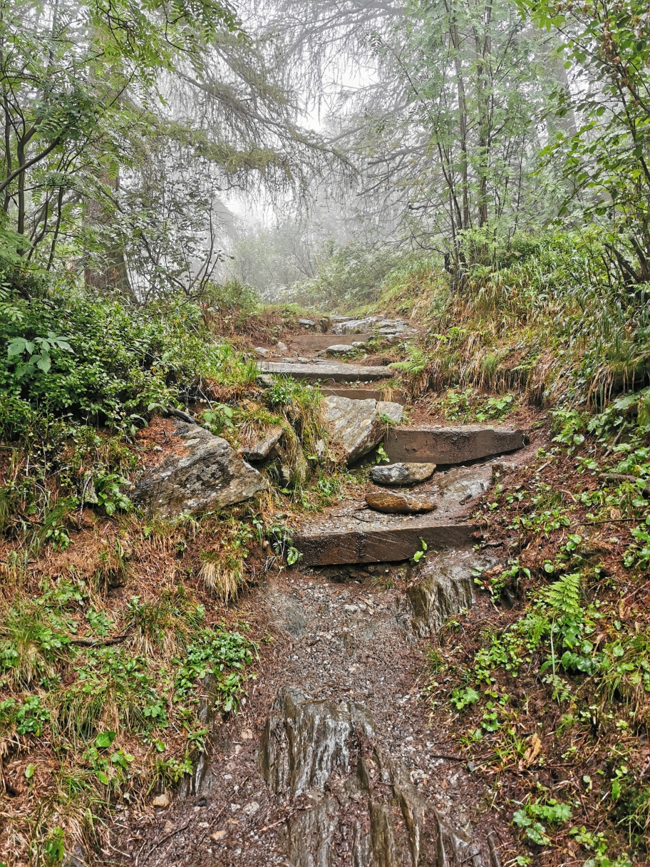 Durch den Wald steigen wir weiter hinauf