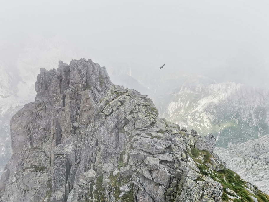 ... und ein kreisender Adler am Rifugio Maria é Franco
