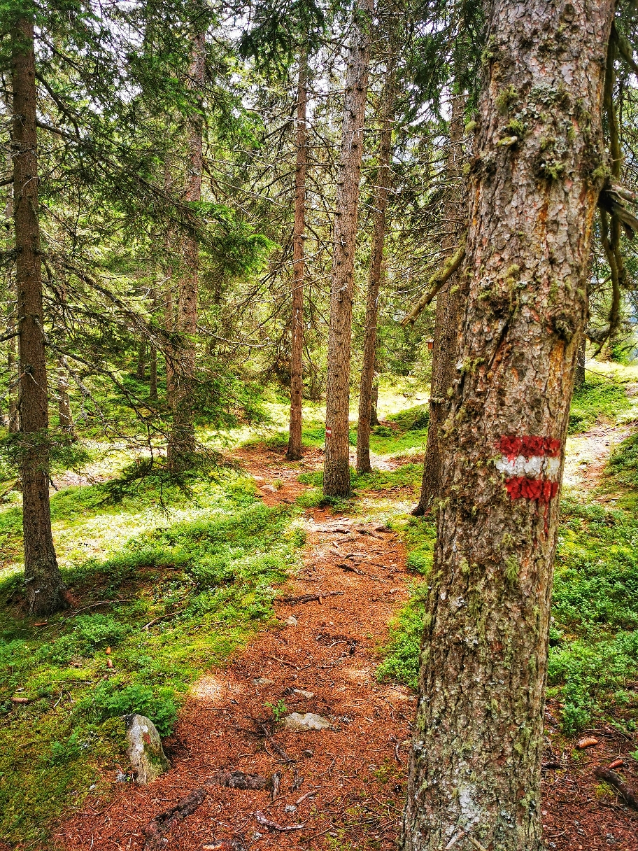 Deutlich bessere Wegverhältnisse beim Abstieg nach Ochsengarten