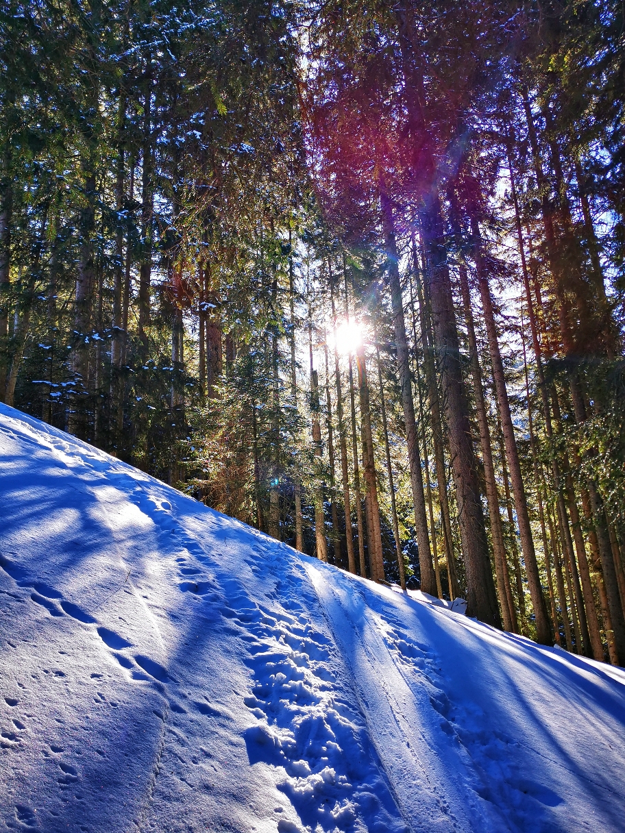 Die ersten Sonnenstrahlen des Tages