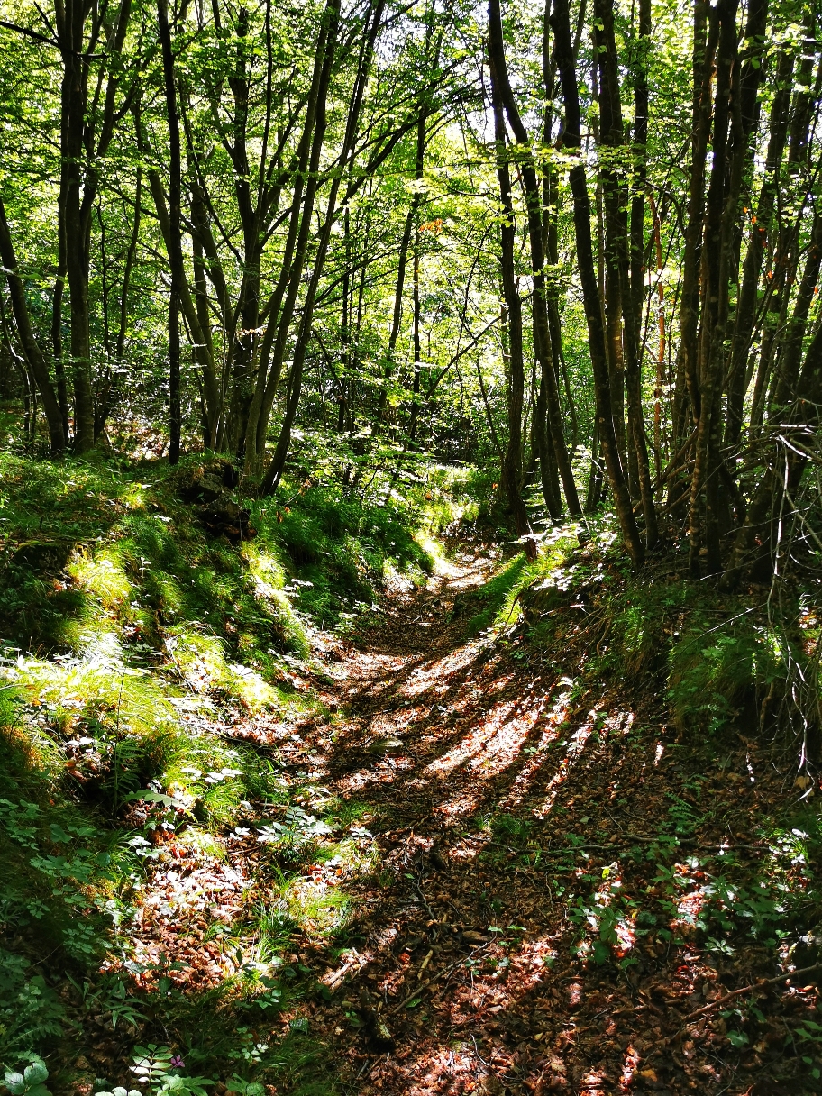 Der Weg wird zwischendurch wieder angenehmer zu gehen