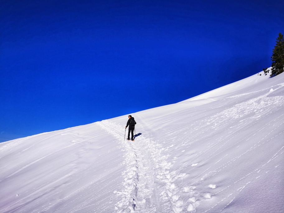Hinter der Kuhgehrenalpe sind es nur noch ca. 200 Höhenmeter