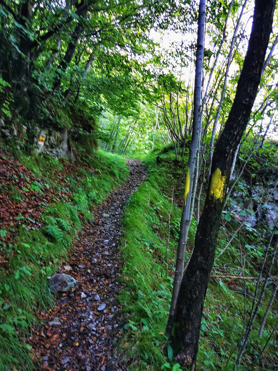 ... bevor es auf markierten Waldwegen Richtung Monte Censo geht