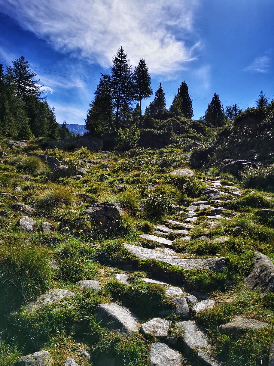 Auf den üblichen Bergpfaden geht's hinauf zum Rifugio Garibaldi