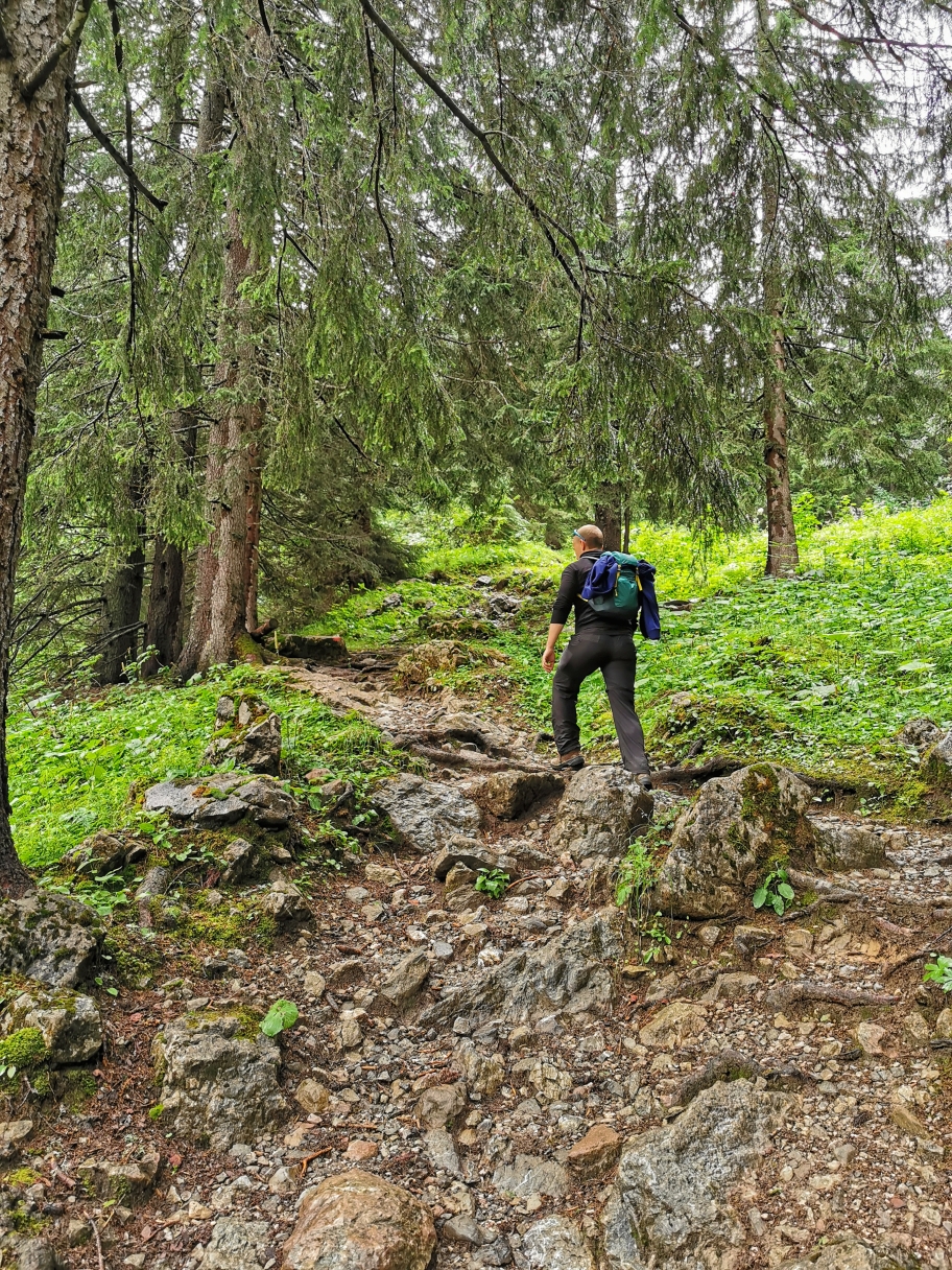 Durch den Wald geht's weiter hinauf