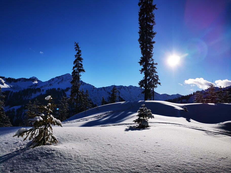 Herrliche Winterlandschaft