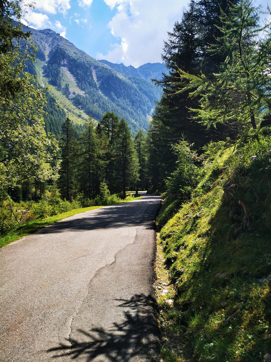 Weiter geht's leider über die Straße