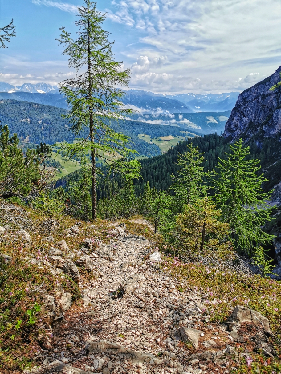 Auf gleicher Route geht's ins Tal