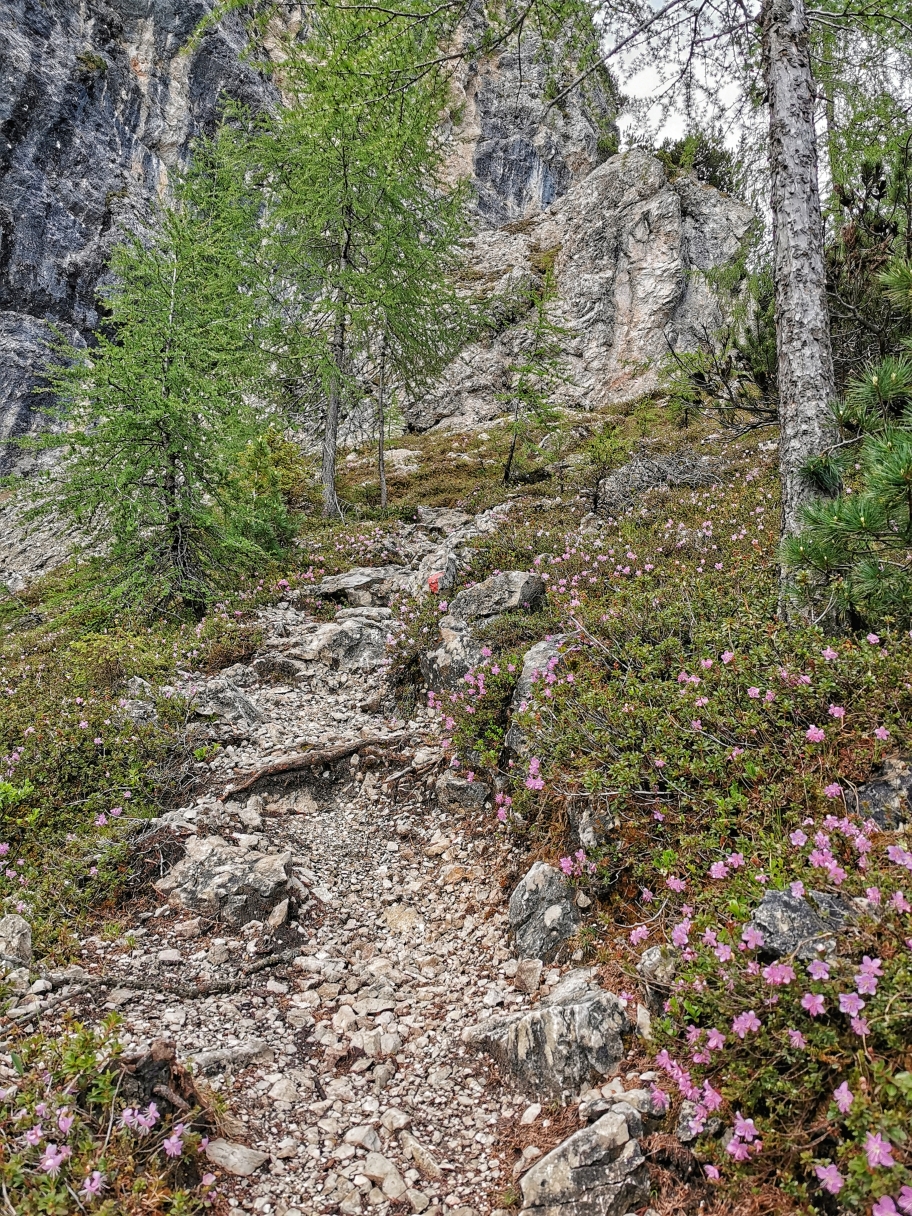 Zwischendurch wird der Weg wieder breiter
