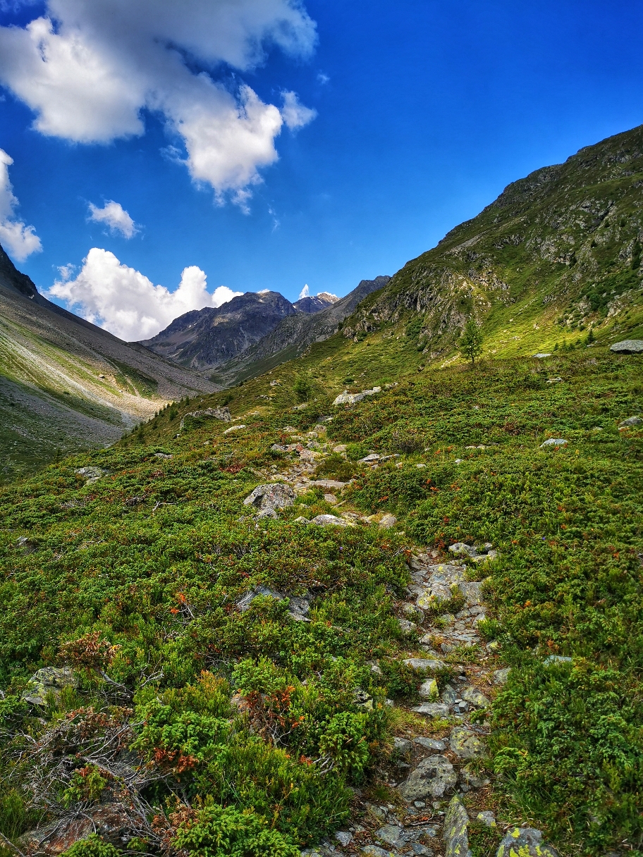 ... dann über normale Bergwege geht's immer weiter hinauf