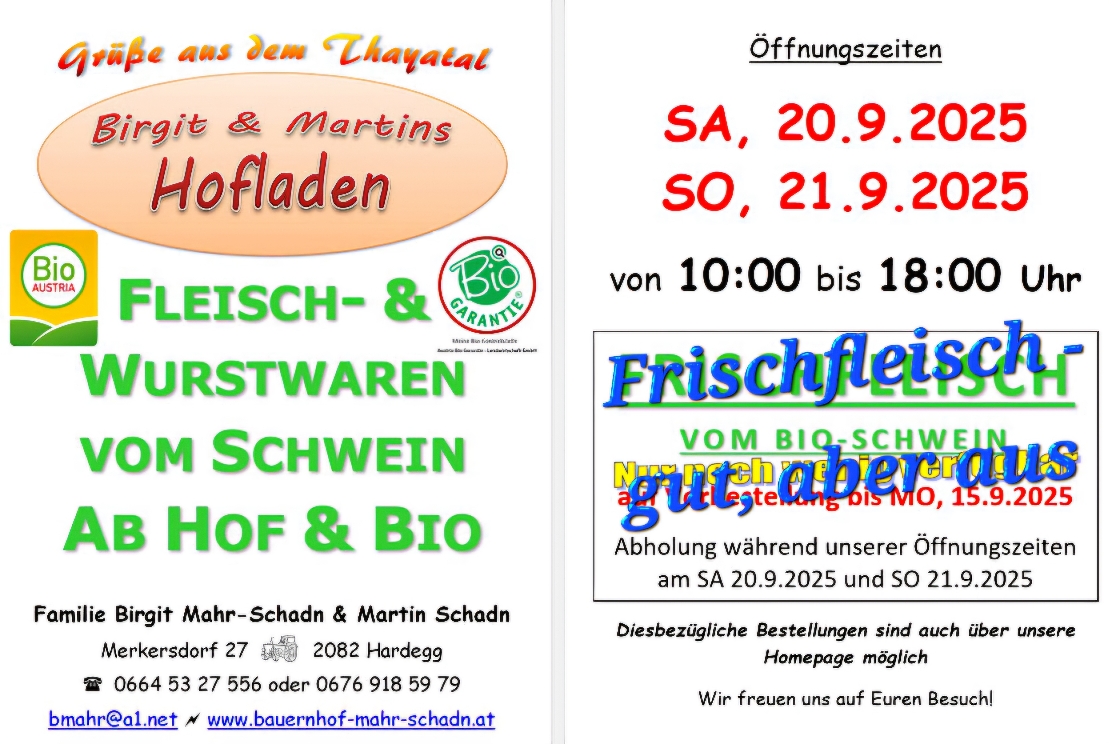Flyer Öffnungszeiten im Dezember 2020