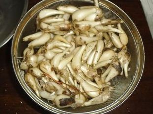 土付きのラッキョウ1kg