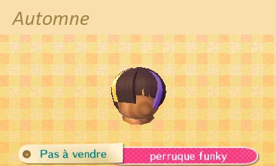 CHAP_perruque_funky