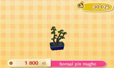 ACNL_plante_bonsaï pin mugho