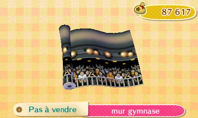 ACNL_Sarah_mur_gymnase